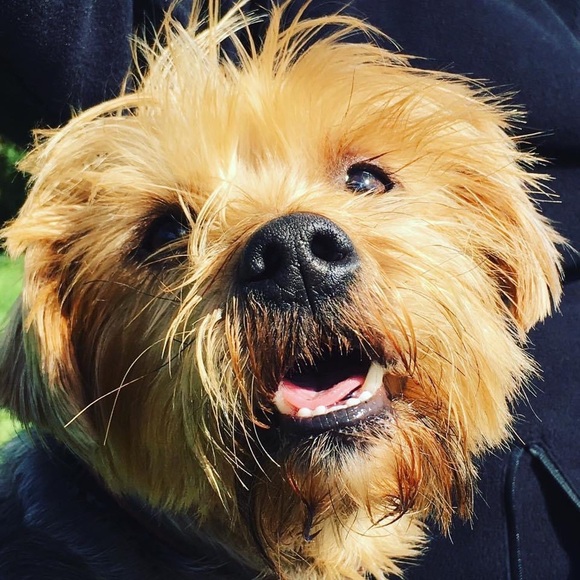 Meet your Posher, Rachel - Picture 4 of 4